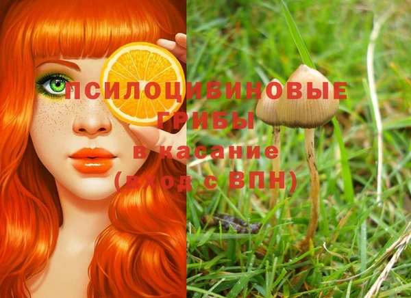 мяу мяу мука Алексеевка