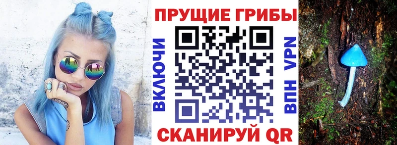 даркнет сайт Котовск Псилоцибиновые грибы MAGIC MUSHROOMS