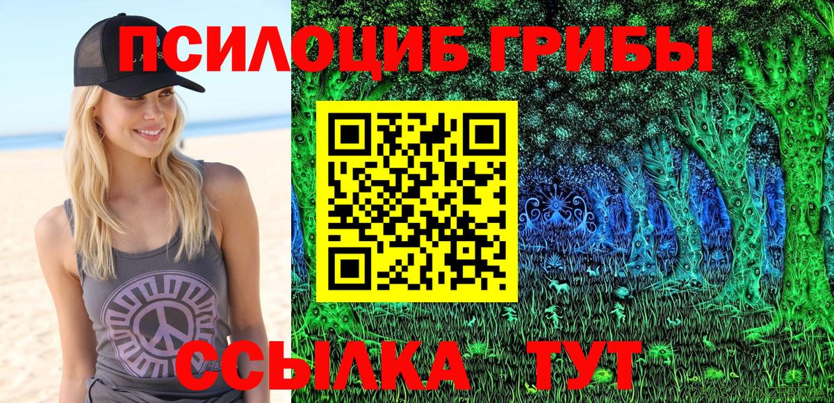 Котовск  Псилоцибиновые грибы мицелий  Вход с VPN  Галлюциногенные грибы прущие грибы 