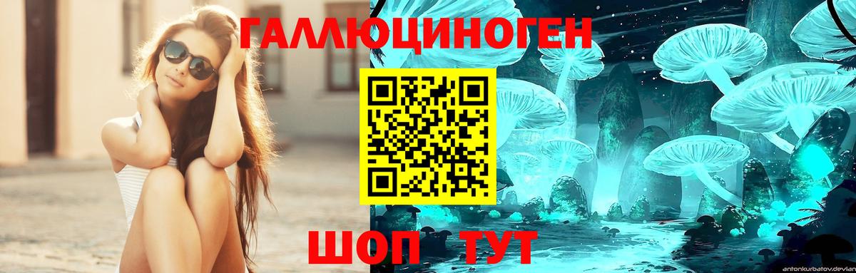 Галлюциногенные грибы GOLDEN TEACHER Котовск